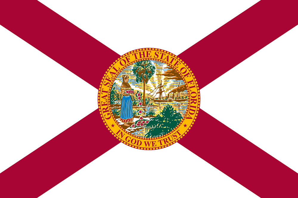 Shooting Looters Would be Allowed with Proposed Florida Law