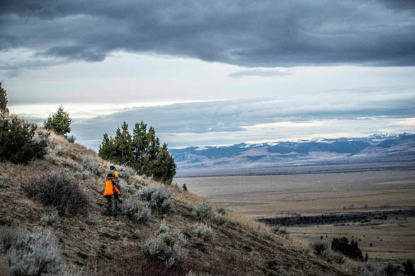 Hunting the Western States: A Good Rangefinder + Ballistic = Successful Hunt!