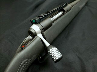 New Guns & Gear for 2021—Anarchy Outdoors Savage Axis and 10 and 110 Upgrades