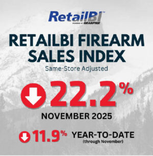 Gun Sales Down 22% in November